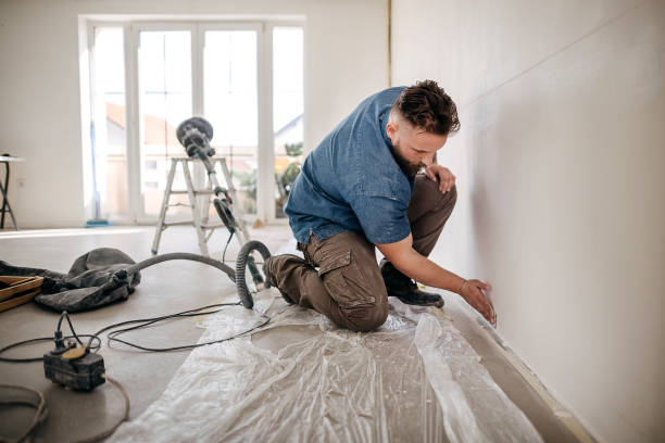 Best Drywall Patching  in Rossvle, IL