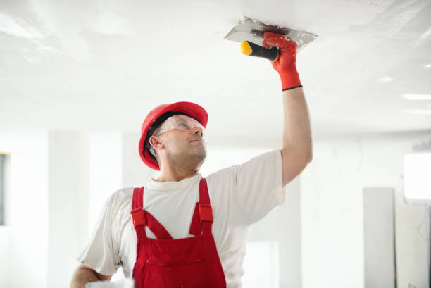  Rossvle, IL Dry wall and painting Pros