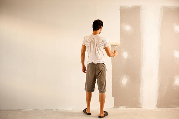 Best Repainting for Renovations  in Rossvle, IL