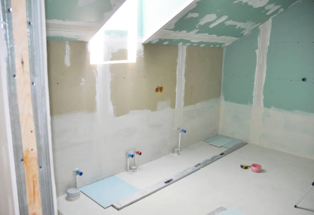 Best Water-Damaged Drywall Repair  in Rossvle, IL